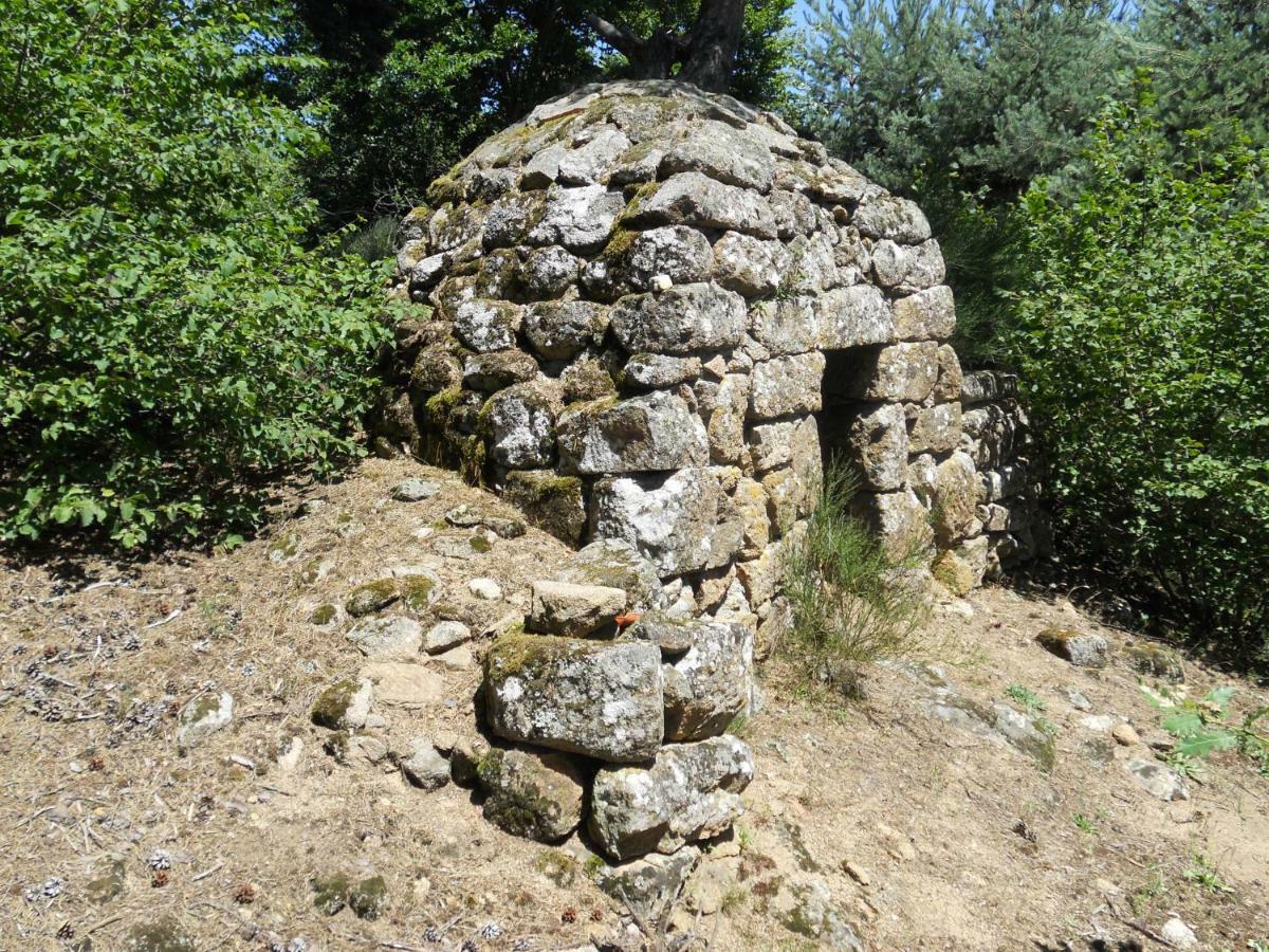 Le Peuplier Boisset (Haute-Loire)